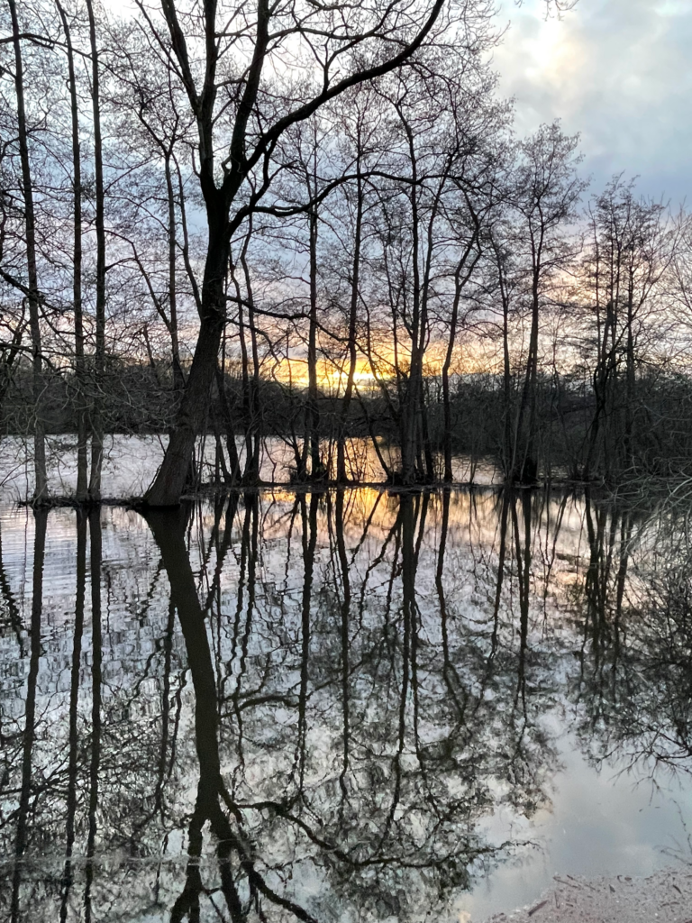 Winterlandschaft